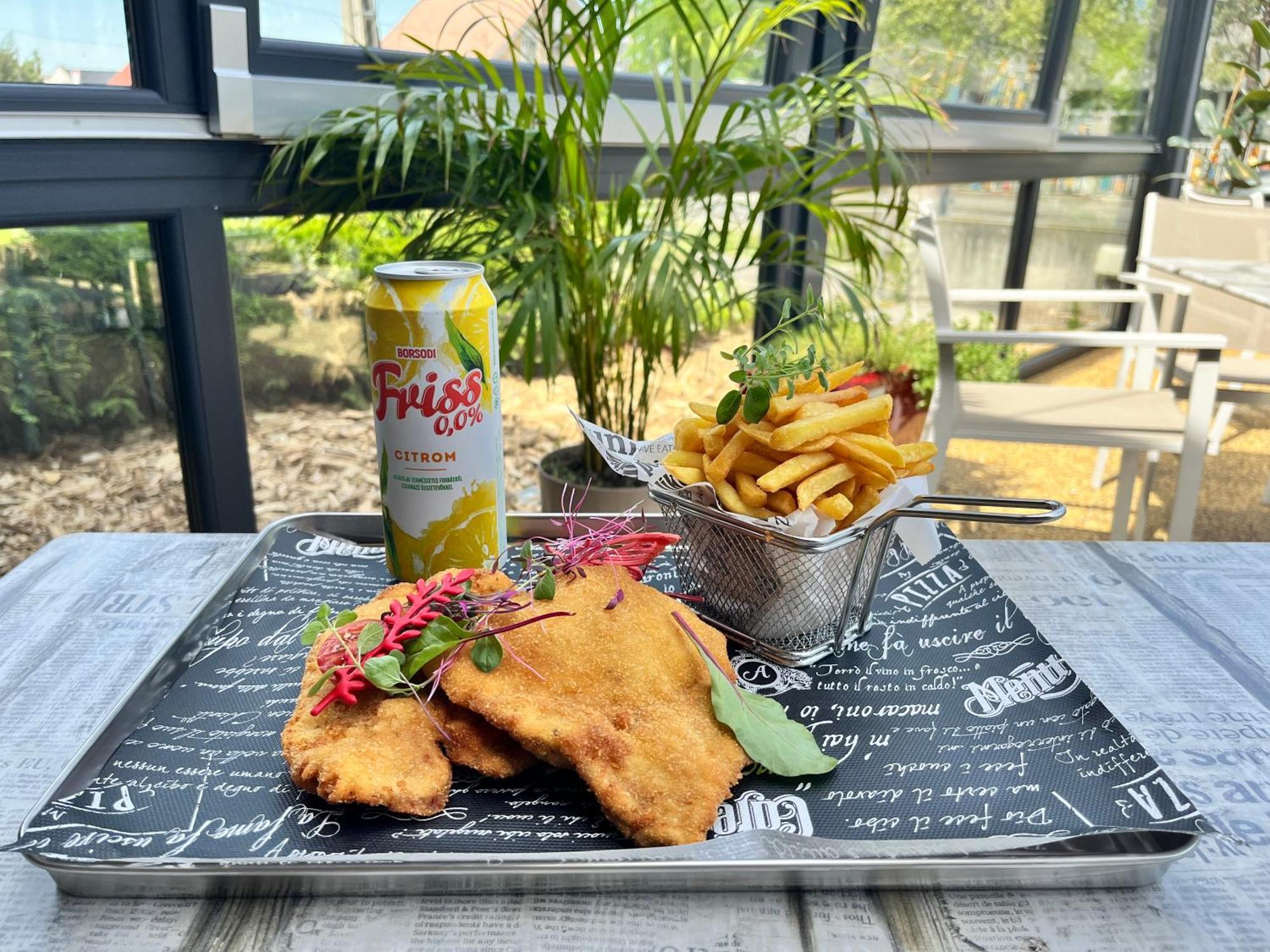 Pipacs Panir & Grill Garden Vendeghaz Otel Győrújbarát Dış mekan fotoğraf